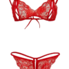 kirmizi-dantelli-fantazi-sutyen-ve-g-string-takim-tm2048-374078299-sw800sh1200